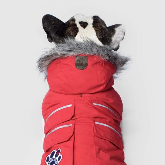 💕x3HP💕Red Canada Pooch dog winter coat - Picture 2 of 14